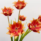 Tulipe Artificielle, Tige Unique de 69 cm, Décoration Élégante pour Maison, Mariage ou Espace Commercial