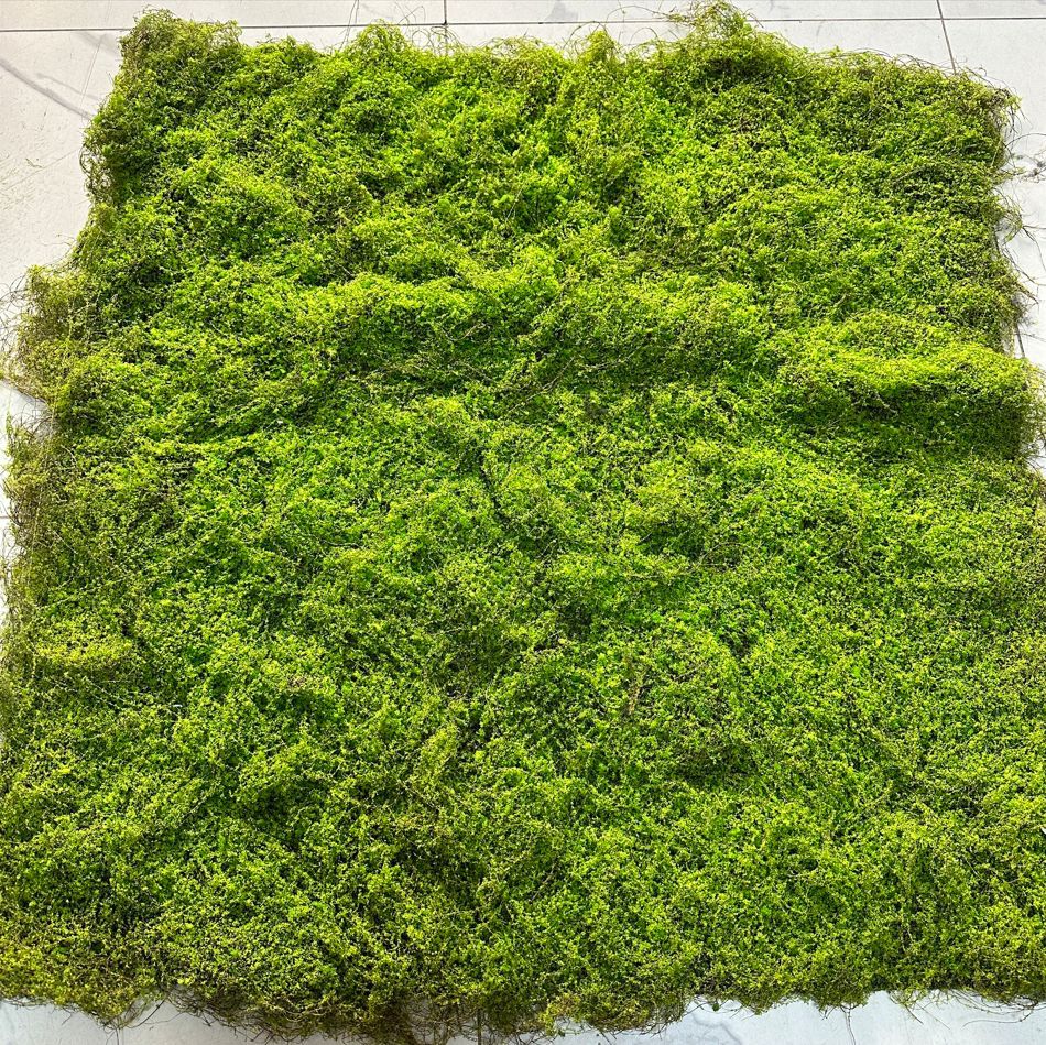 Tapis de mousse artificielle en simili velours, 100 cm x 100 cm, décoration murale ou au sol