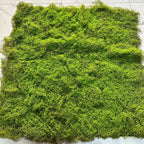 Tapis de mousse artificielle en simili velours, 100 cm x 100 cm, décoration murale ou au sol