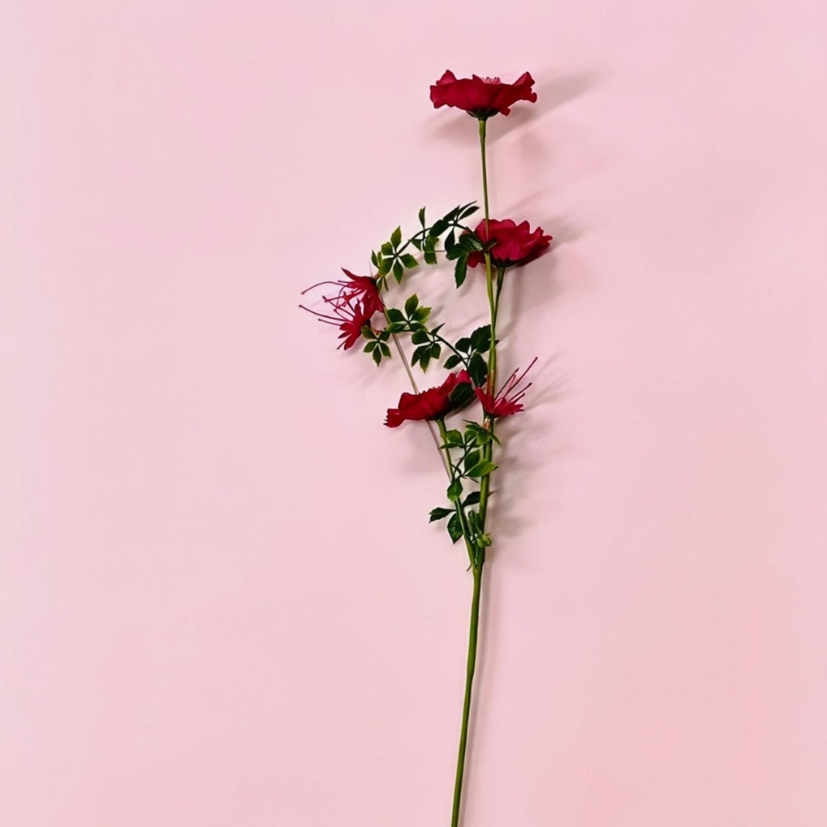 Fleurs artificielles Cosmos, bouquet de 6 fleurs en tissu soyeux, 70 cm, décoration intérieure élégante, mariage et maison