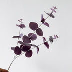 3 Branches d'Eucalyptus Artificiel, 45 cm, Décor d'Intérieur, Mariage, Élégance Naturelle
