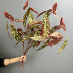Bouquet de bégonias artificiels, 71 cm, décoration élégante pour mariage, événements et intérieur