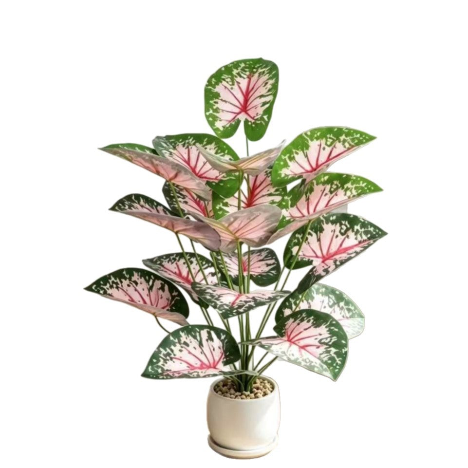 Plante artificielle Caladium rose, décoration intérieure et extérieure, 30 cm de hauteur, 53 cm de longueur, pour mariages, bureaux et espaces commerciaux
