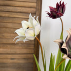Fleur artificielle de colombine, tige unique de 70 cm, décoration élégante pour mariage et intérieur