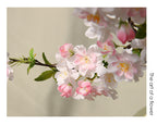 Fleur artificielle en soie synthétique, cerisier du Japon 'Sakura', tige unique avec 25 fleurs, 92 cm, décoration intérieure élégante
