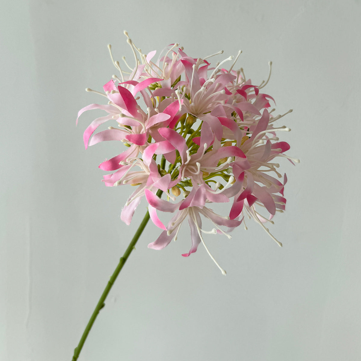 Fleurs artificielles Lys des Enfers, bouquet de 66 cm, décoration vintage pour mariage ou intérieur