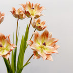 Tulipe Artificielle, Tige Unique de 69 cm, Décoration Élégante pour Maison, Mariage ou Espace Commercial