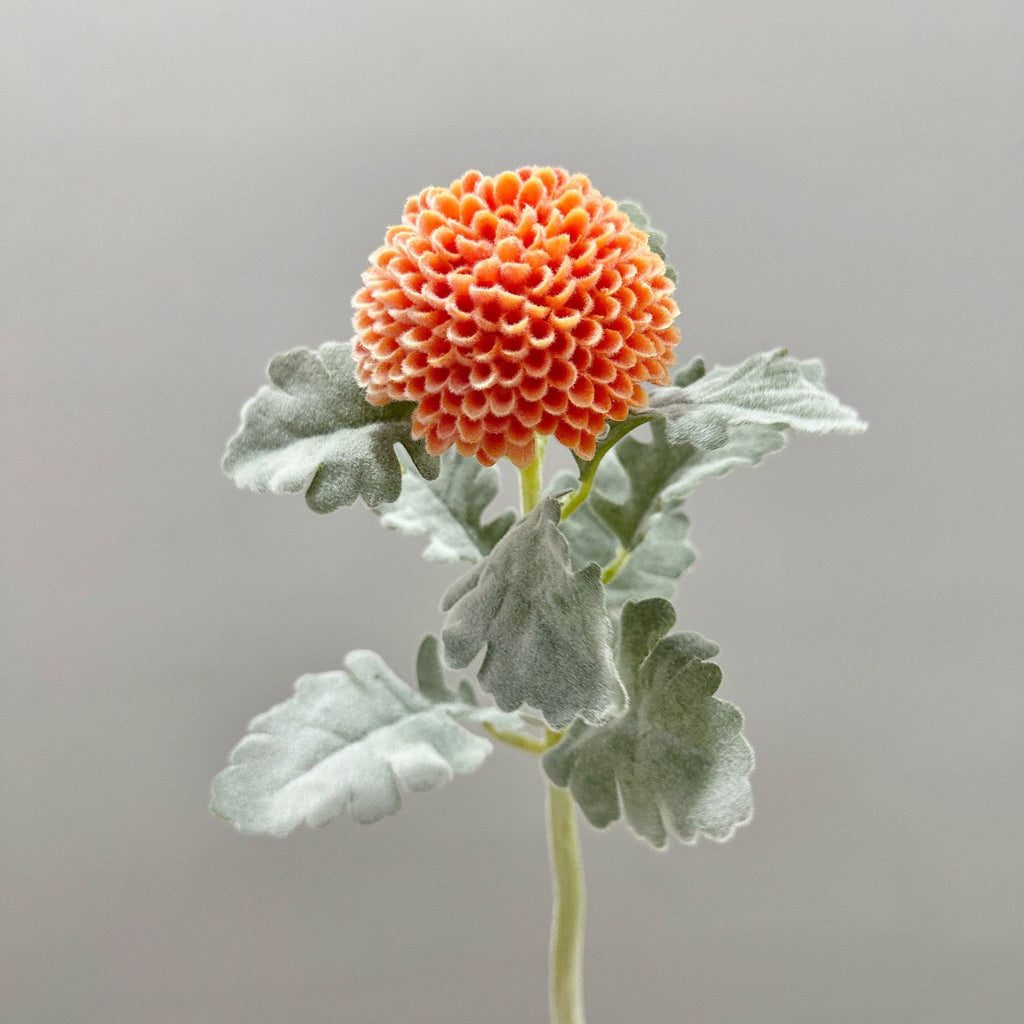 Fleur artificielle Chrysanthème Boule, Tige Unique, 37 cm, Polyester Soie, Décoration Intérieure, Mariage, Bureau