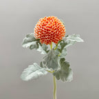 Fleur artificielle Chrysanthème Boule, Tige Unique, 37 cm, Polyester Soie, Décoration Intérieure, Mariage, Bureau