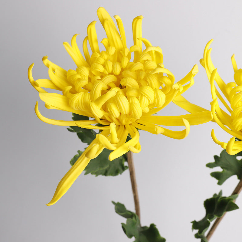 Fleur artificielle en PU, chrysanthème à une tige, 72 cm de hauteur, idéale pour mariages et décoration intérieure
