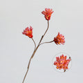 Fleur séchée Protea Cynaroides à tige unique, 44 cm, décoration intérieure élégante