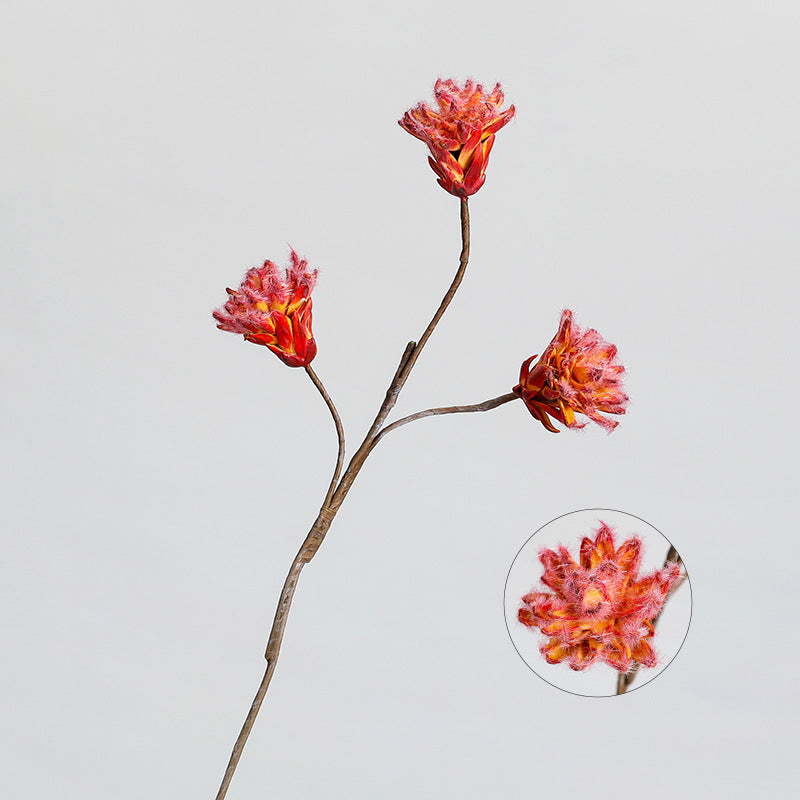 Fleur séchée Protea Cynaroides à tige unique, 44 cm, décoration intérieure élégante