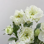 Tige unique de pivoine artificielle en tissu soyeux, 50 cm avec 3 fleurs, décoration intérieure élégante