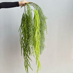 Plante artificielle suspendue Asparagus, décoration murale, 90 cm, style campagne, PE