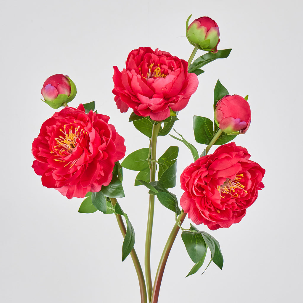 Bouquet de pivoines artificielles en soie 2 têtes, 66 cm, décoration intemporelle pour mariage, maison, bureau, vitrine commerciale