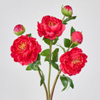 Bouquet de pivoines artificielles en soie 2 têtes, 66 cm, décoration intemporelle pour mariage, maison, bureau, vitrine commerciale