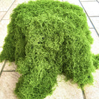 Tapis de mousse artificielle en simili velours, 100 cm x 100 cm, décoration murale ou au sol