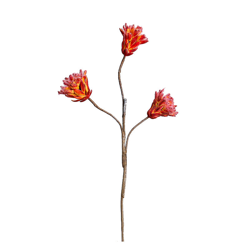 Fleur séchée Protea Cynaroides à tige unique, 44 cm, décoration intérieure élégante