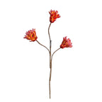Fleur séchée Protea Cynaroides à tige unique, 44 cm, décoration intérieure élégante