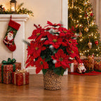 Poinsettia artificiel avec 36 fleurs, décoration de Noël en tissu soyeux, 36 cm, pour mariages, hôtels et décoration d'intérieur