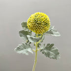 Fleur artificielle Chrysanthème Boule, Tige Unique, 37 cm, Polyester Soie, Décoration Intérieure, Mariage, Bureau