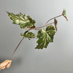 Bouquet de bégonias artificiels, 71 cm, décoration élégante pour mariage, événements et intérieur