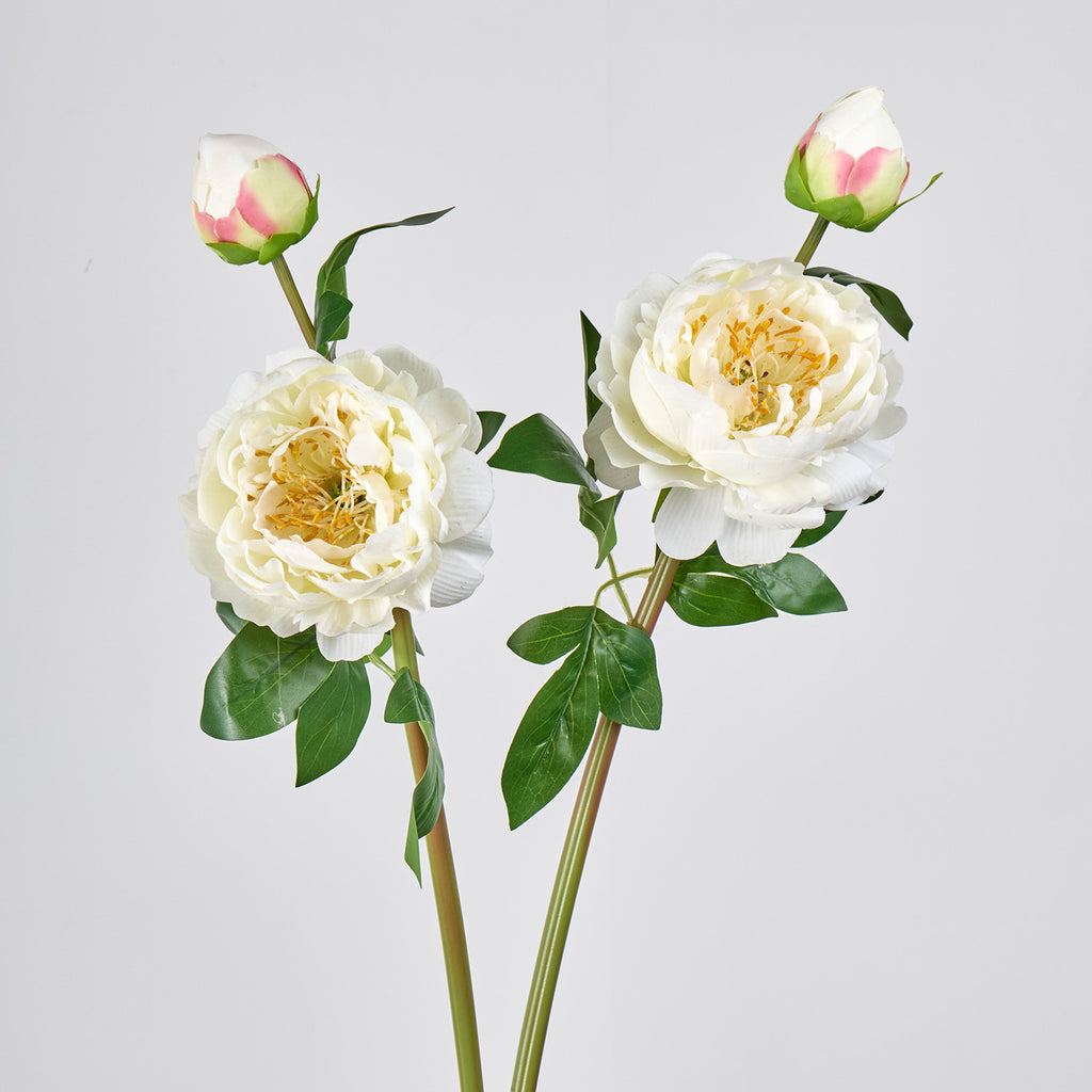 Bouquet de pivoines artificielles en soie 2 têtes, 66 cm, décoration intemporelle pour mariage, maison, bureau, vitrine commerciale