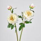 Bouquet de pivoines artificielles en soie 2 têtes, 66 cm, décoration intemporelle pour mariage, maison, bureau, vitrine commerciale