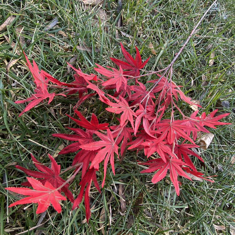 Branche artificielle en tissu soyeux avec feuilles d'érable, 100 cm, idéale pour mariages et décoration intérieure