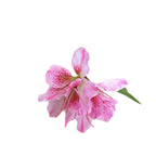 Fleur artificielle Rhododendron, 3 fleurs sur une tige de 70 cm, tissu polyester soyeux, décoration intérieure