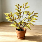 Plante artificielle Sansevieria, décoration intérieure élégante, 63 cm, style moderne nordique