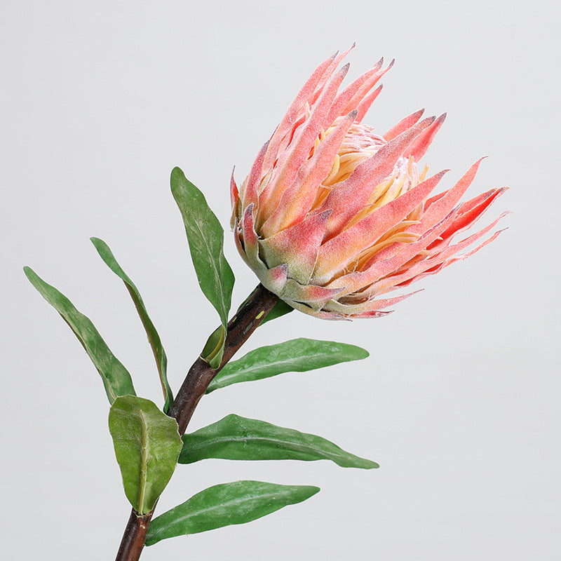 Fleur artificielle unique Protea rose glacé, longueur 56 cm, décoration intérieure, mariage, événements
