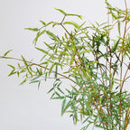 Fougère artificielle en plastique, tige unique de 120 cm, décoration intérieure, style naturel