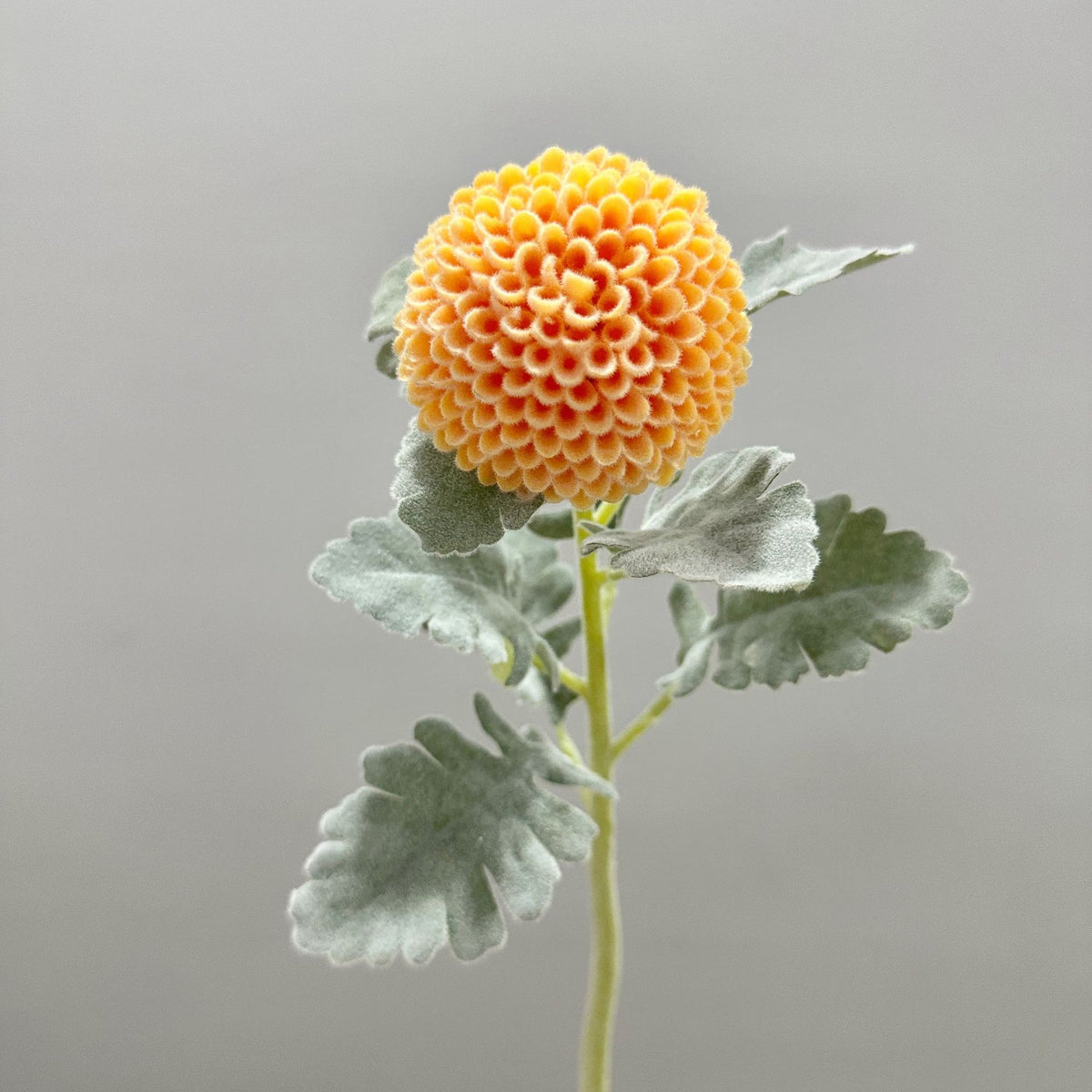 Fleur artificielle Chrysanthème Boule, Tige Unique, 37 cm, Polyester Soie, Décoration Intérieure, Mariage, Bureau