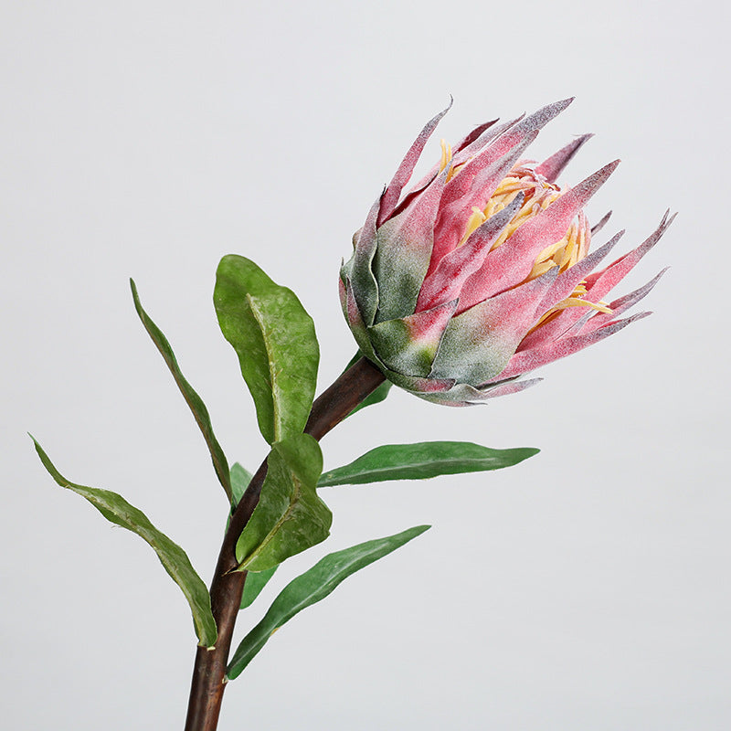 Fleur artificielle unique Protea rose glacé, longueur 56 cm, décoration intérieure, mariage, événements