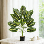 Plante artificielle Maranta, 43 cm, décoration intérieure élégante pour maison, bureau ou événements