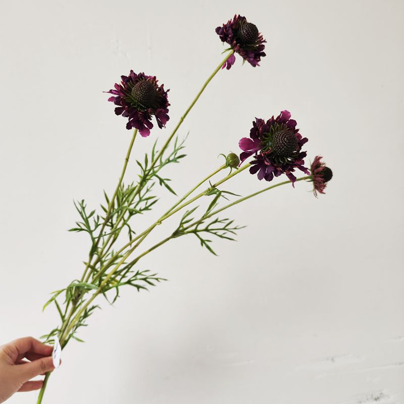 Fleurs artificielles en soie polyester, bouquet de marguerites et orchidées, 74 cm, décoration intérieure