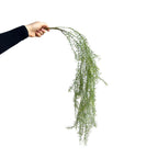 Plante artificielle suspendue Asparagus, décoration murale, 90 cm, style campagne, PE