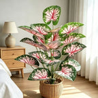 Plante artificielle Caladium rose, décoration intérieure et extérieure, 30 cm de hauteur, 53 cm de longueur, pour mariages, bureaux et espaces commerciaux