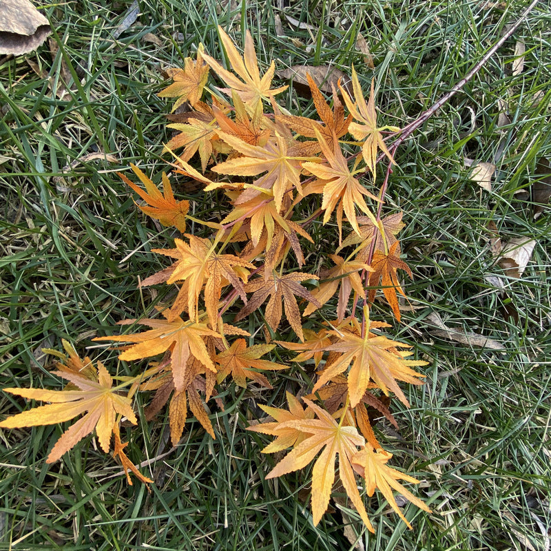 Branche artificielle en tissu soyeux avec feuilles d'érable, 100 cm, idéale pour mariages et décoration intérieure