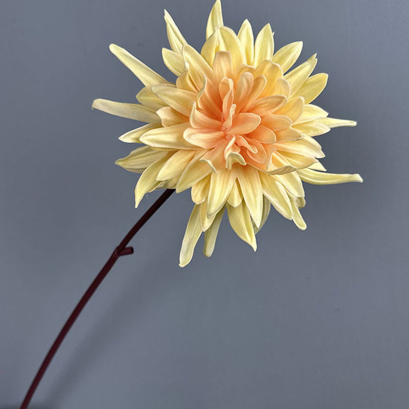 Fleur artificielle en PU, tige unique chrysanthème, 62 cm de haut, tête de 20 cm, décoration intérieure élégante, mariage & maison