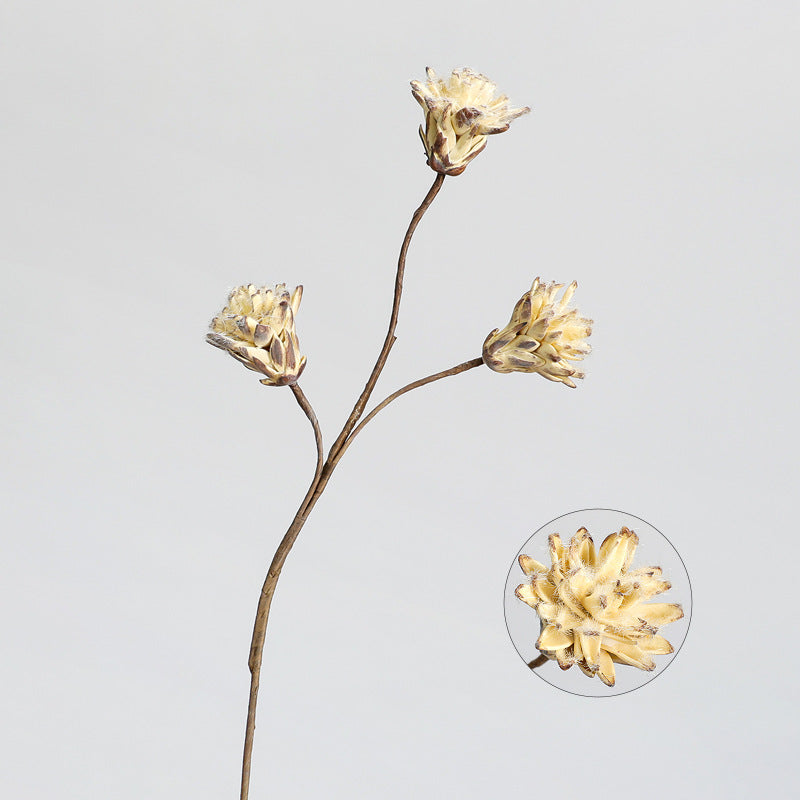 Fleur séchée Protea Cynaroides à tige unique, 44 cm, décoration intérieure élégante