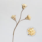 Fleur séchée Protea Cynaroides à tige unique, 44 cm, décoration intérieure élégante