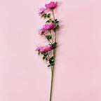 Fleurs artificielles Cosmos, bouquet de 6 fleurs en tissu soyeux, 70 cm, décoration intérieure élégante, mariage et maison