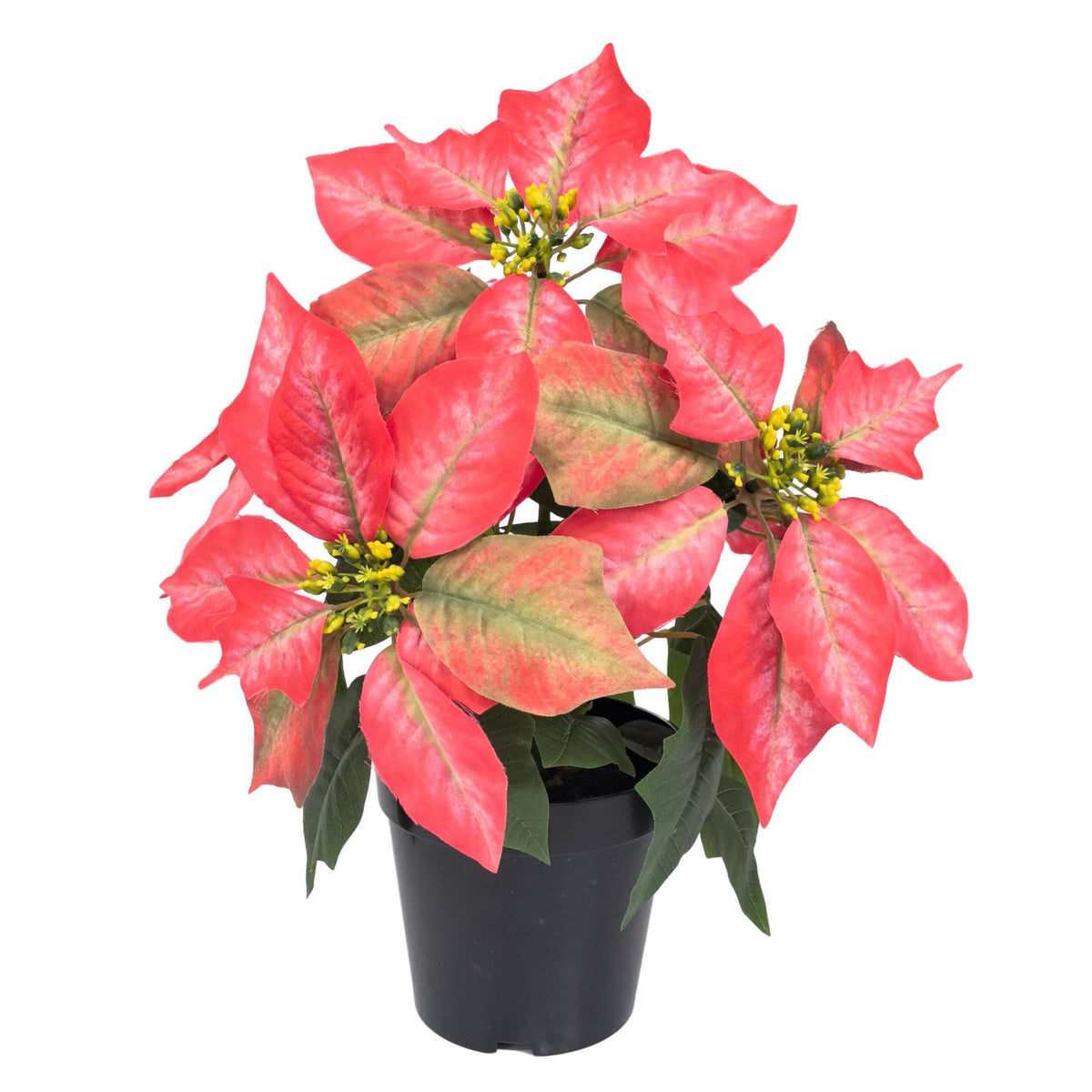 Plante artificielle Poinsettia avec 5 fleurs, 30 cm, plastique, décoration de Noël, intérieur/extérieur