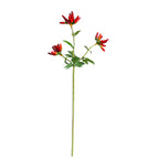 Branche artificielle de piments décoratifs, 69 cm, 32 fruits, intérieur