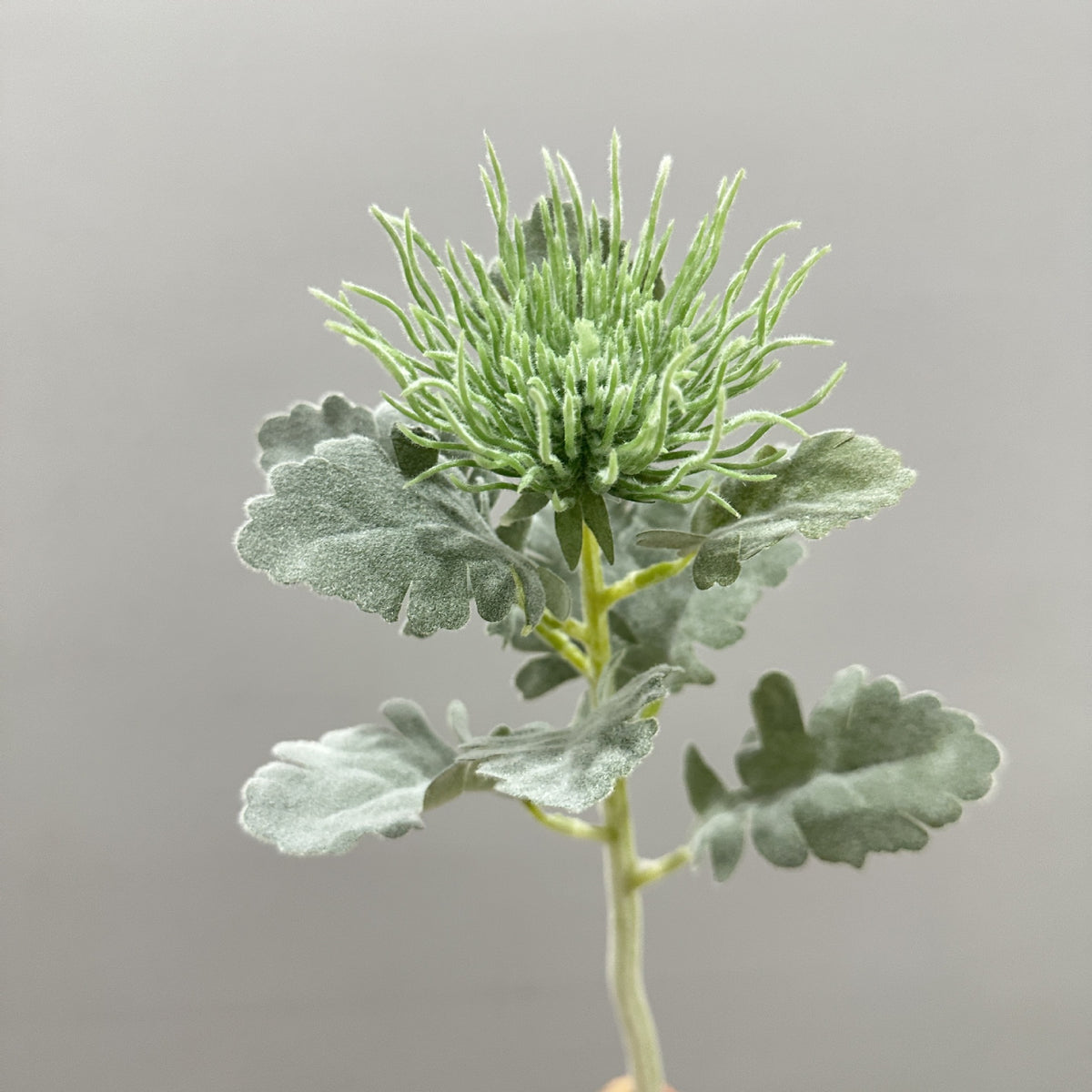 Tige unique d'Eryngium artificiel, 38 cm, en polyester soyeux, idéal pour mariages et décoration intérieure