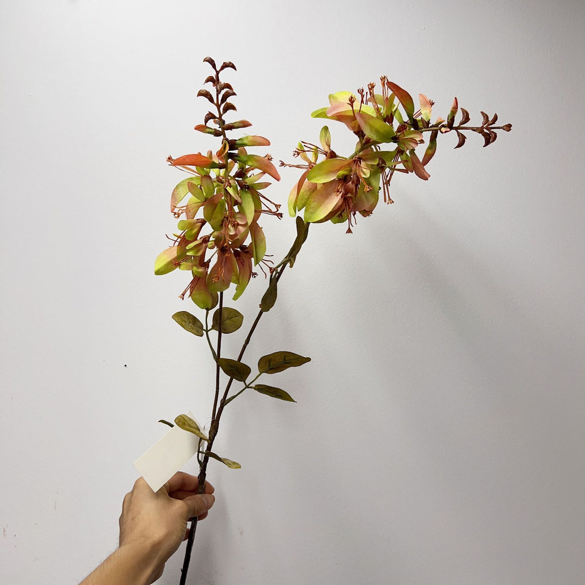 Fleur artificielle en tige unique, corail vert, feuilles d'eucalyptus, 83 cm, décoration intérieure et extérieure