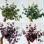3 Branches d'Eucalyptus Artificiel, 45 cm, Décor d'Intérieur, Mariage, Élégance Naturelle