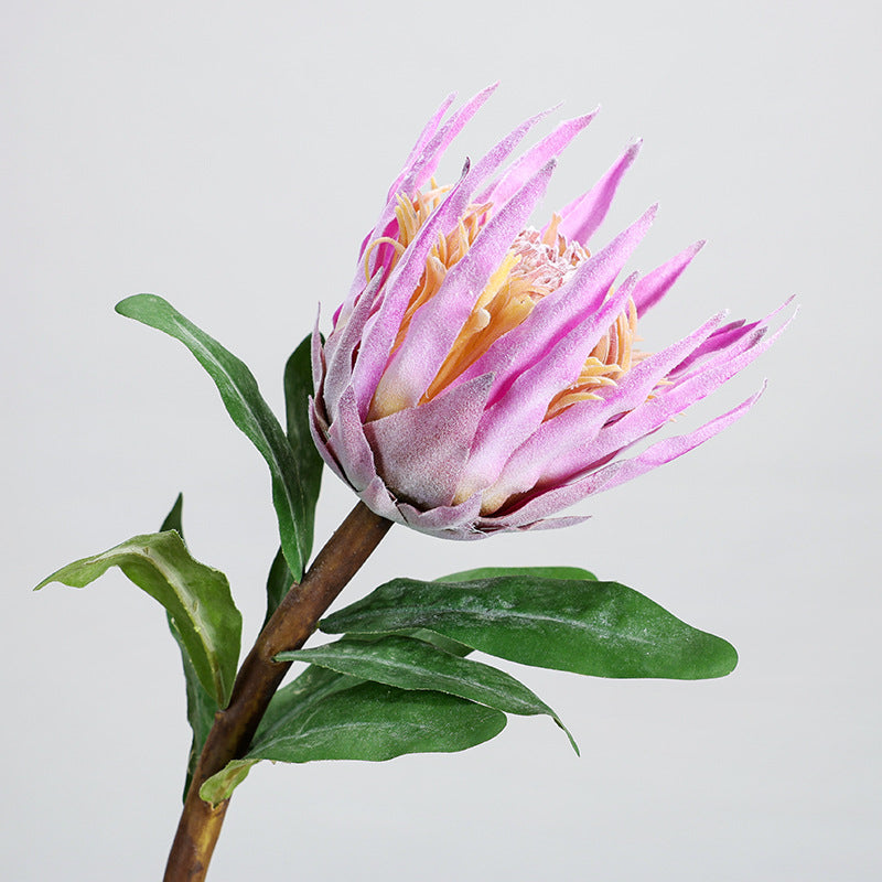 Fleur artificielle unique Protea rose glacé, longueur 56 cm, décoration intérieure, mariage, événements